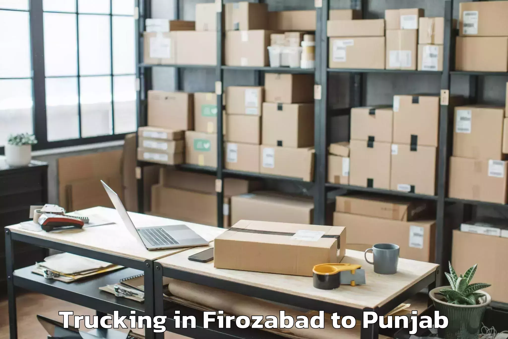 Quality Firozabad to Hoshiarpur Trucking